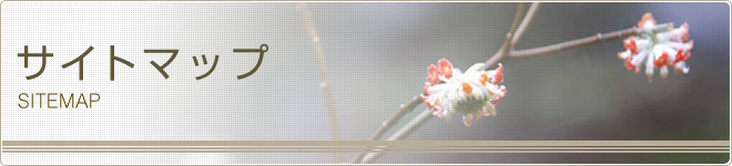 サイトマップ