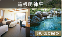 箱根明神平